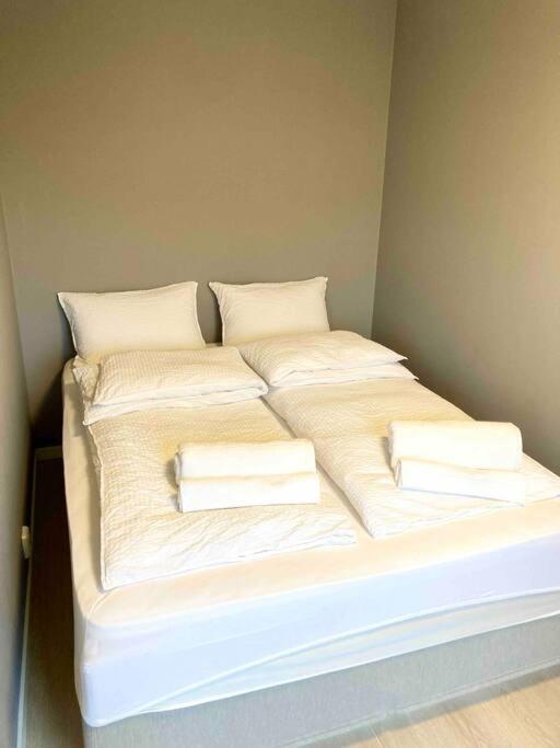Modern 2 Bedroom In Centre Apartment Oslo