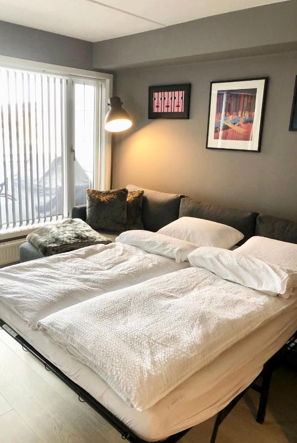 Modern 2 Bedroom In Centre * Oslo